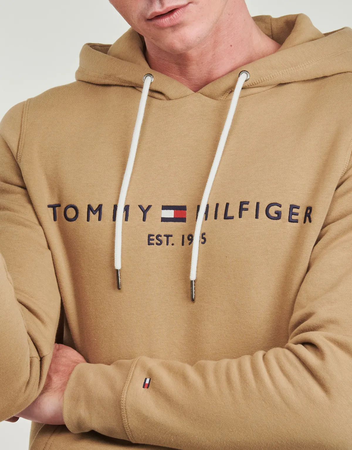 Tommy Hilfiger TOMMY LOGO HOODY